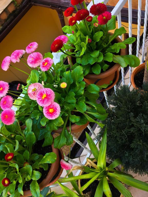 Hostel Florencja Величка Екстериор снимка